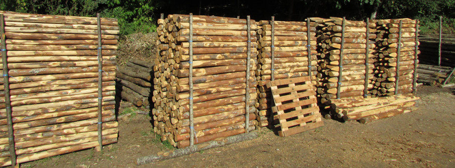 forniture-pali-in-legno (2)